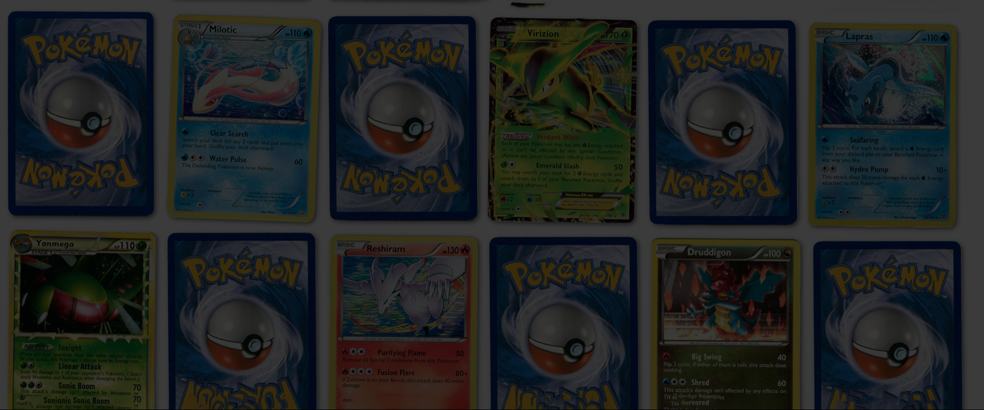 collection-banner-image